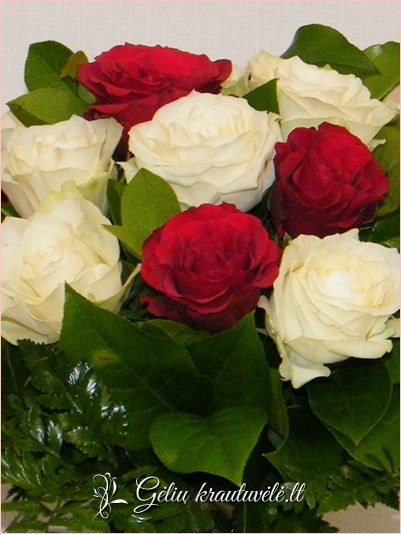 Baltų ir raudonų rožių puokštė nuotrauka 1