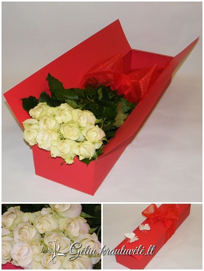 Baltų rožių siurprizas dėžutėje tik Klaipėdoje