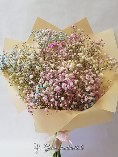 Spalvingų pastelinių gubojų debesėlis