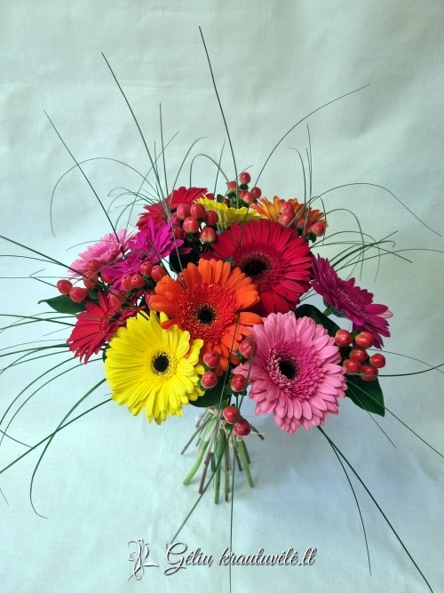Gerberų puokštė mix nuotrauka 3