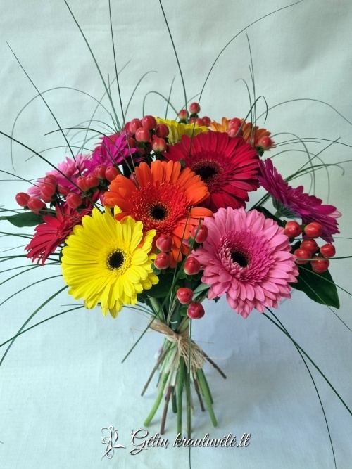 Gerberų puokštė mix nuotrauka 1