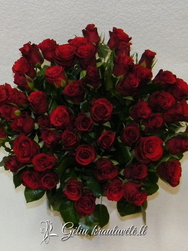 Raudonos rožės 40-60cm. nuotrauka 1